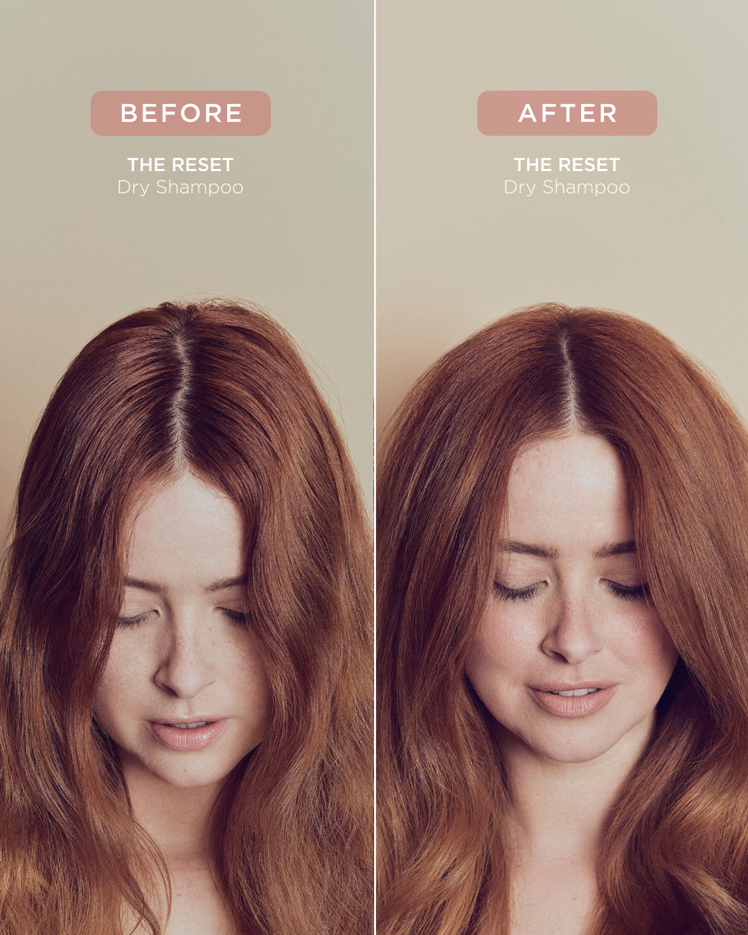 The Reset Future Bloom