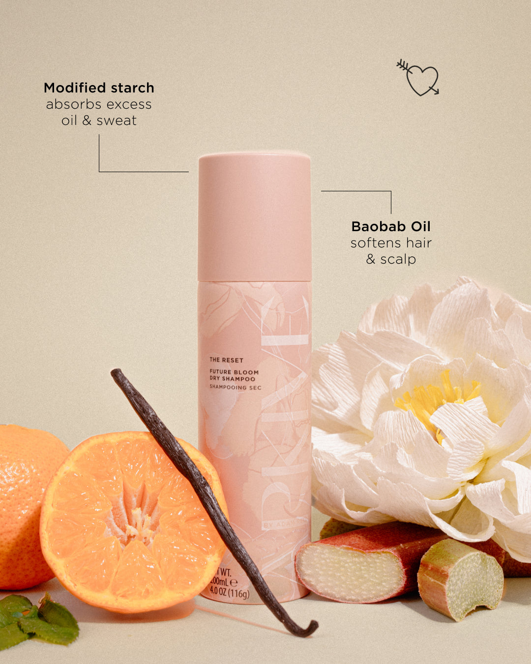 The Reset Future Bloom