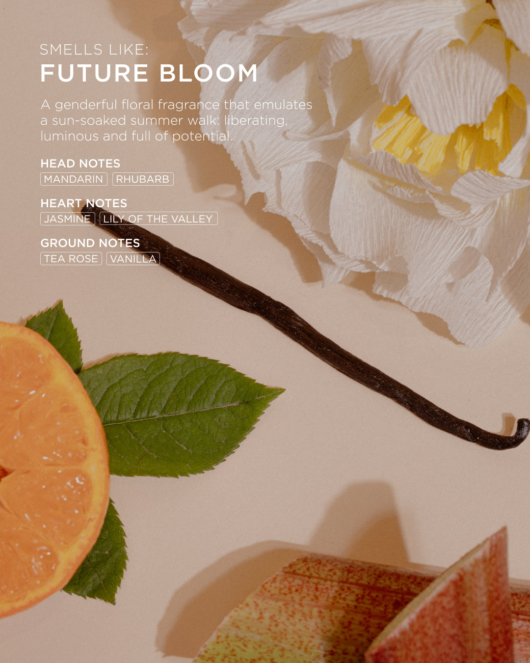 The Reset Future Bloom