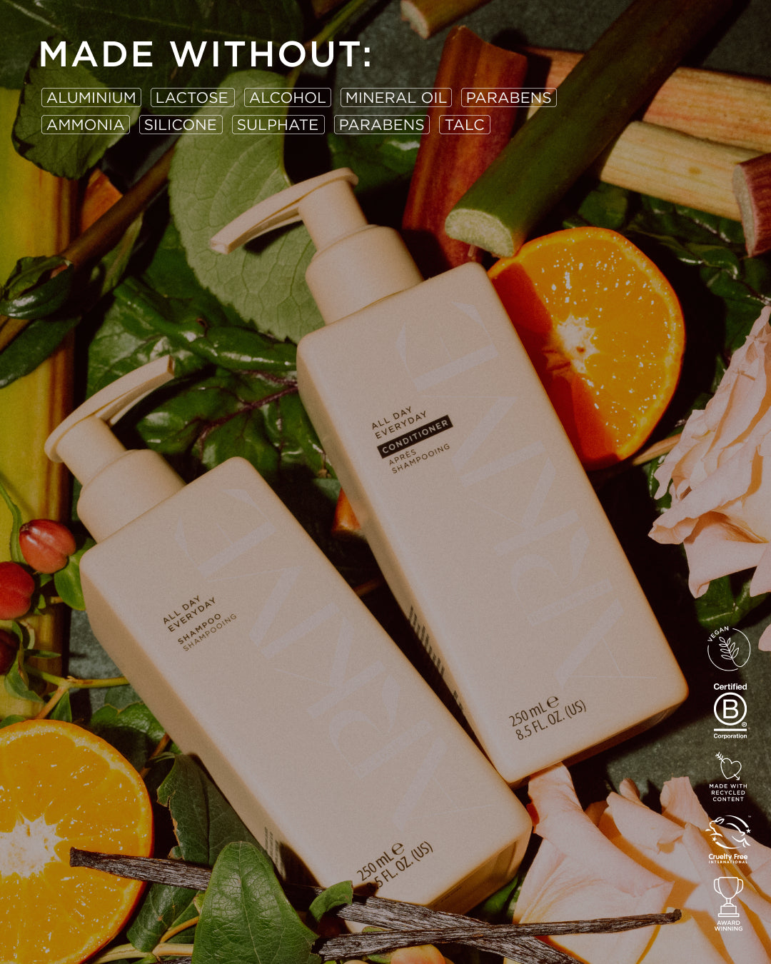 All Day Everyday Conditioner