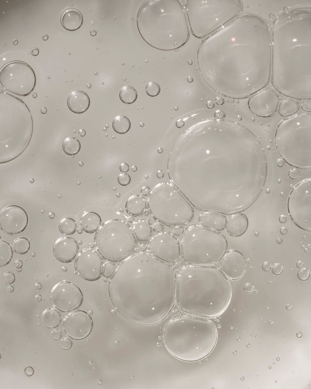 Refill All Day Everyday Shampoo