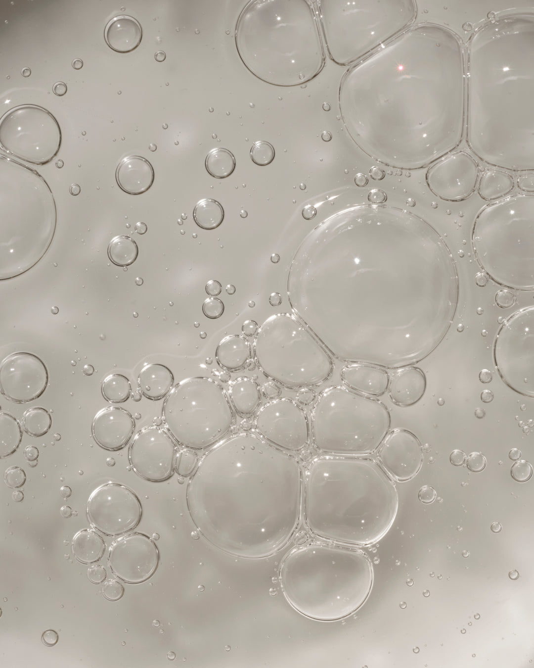 Refill All Day Everyday Shampoo