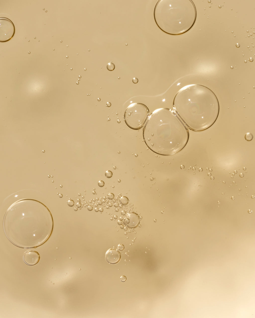 Refill All Day Extra Shampoo