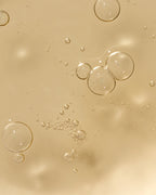 Refill All Day Extra Shampoo