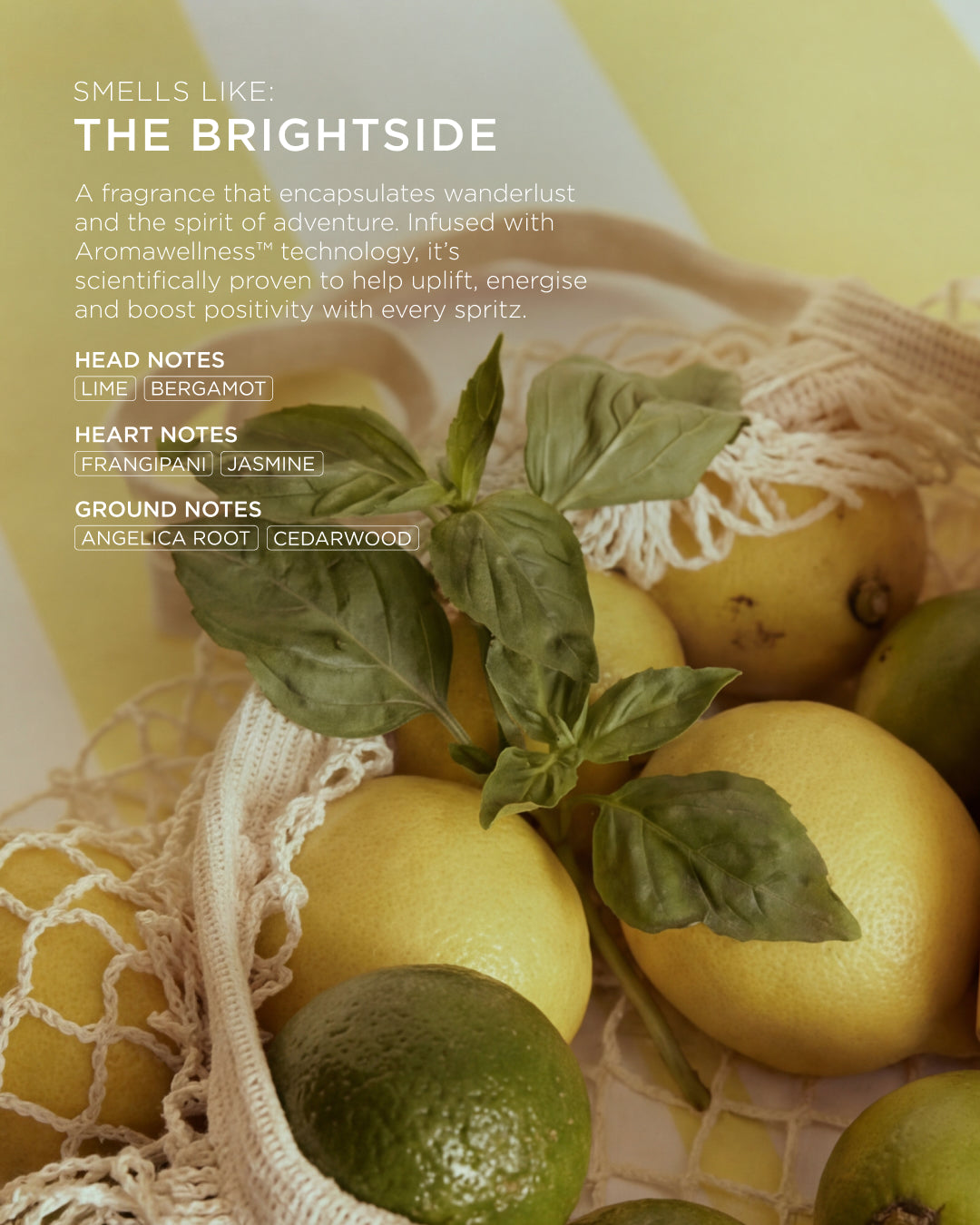 The Reset Brightside