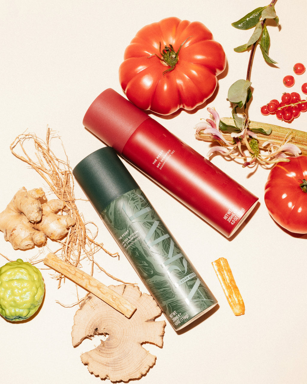 The Reset Dry Shampoo Duo