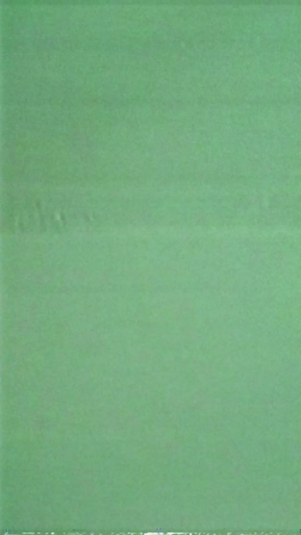 The Reset Decorated Woods