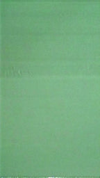 The Reset Decorated Woods