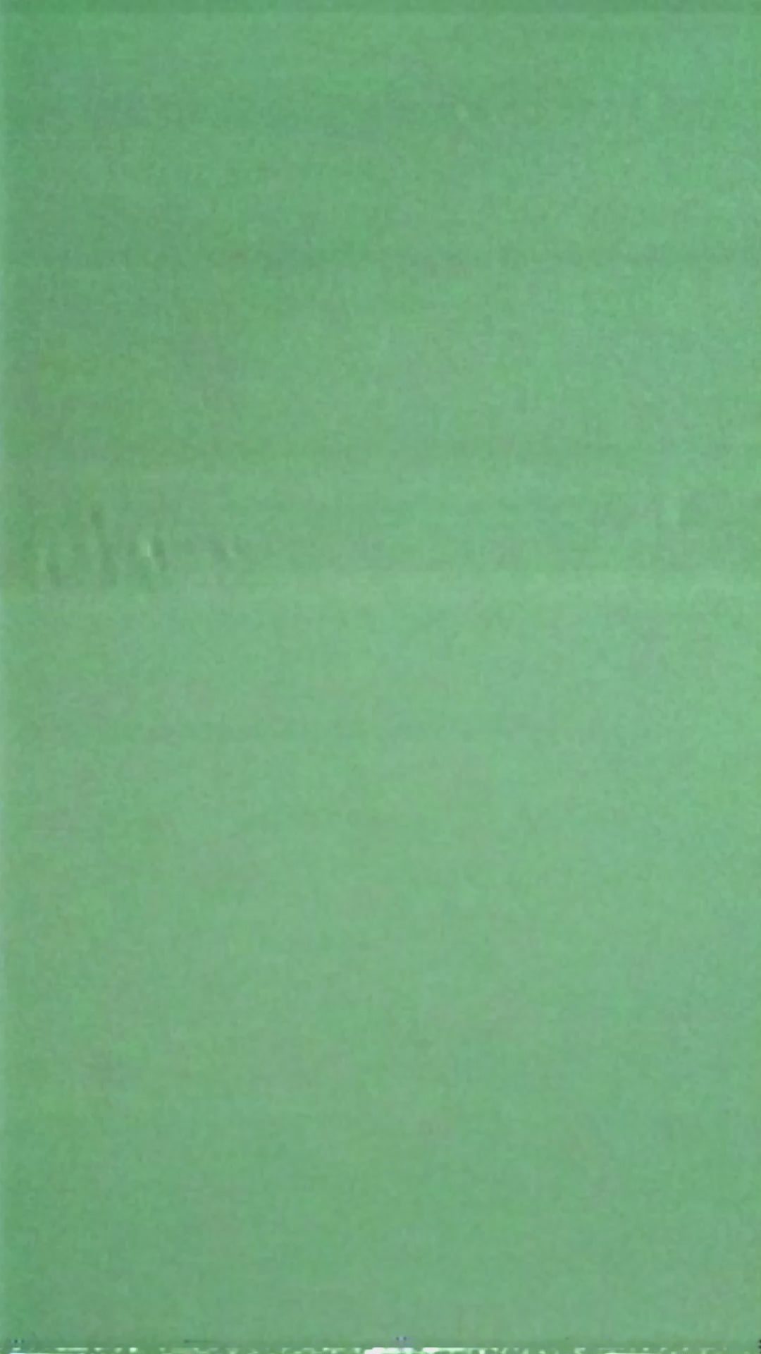 The Reset Decorated Woods